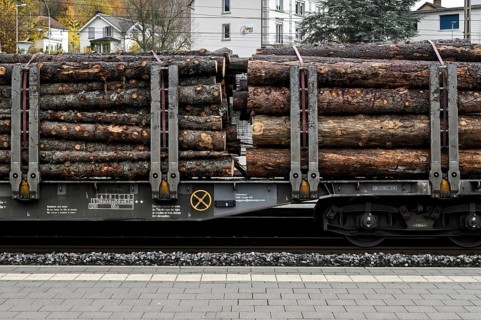 Rail freight transport Round timber SBB Cargo International