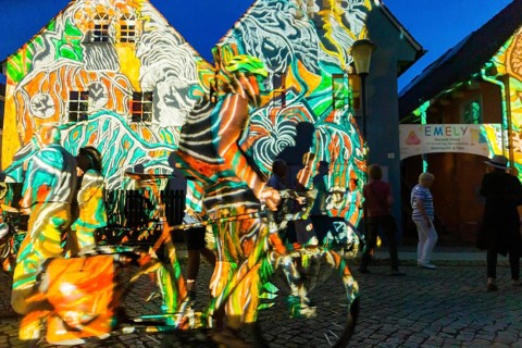 Midsummer Night's Dreams Projections by Claudia Reh, Florian Meyer, violin, Norbert Kegel dances