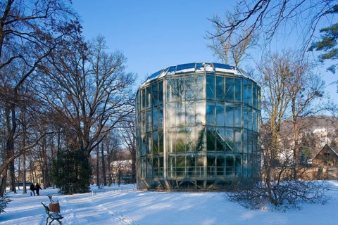 Pillnitz Palace Park in winter, camellia house