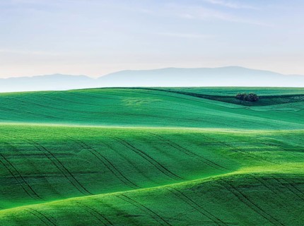 Moravian rolling landscape. South Moravia, Czech Republic, Europe