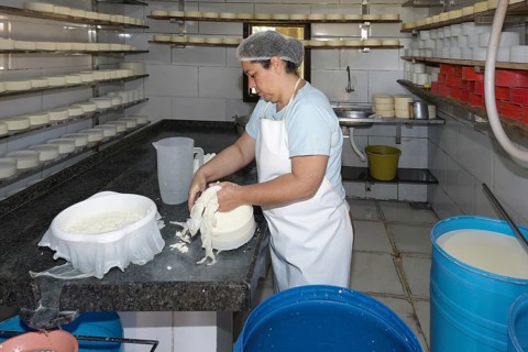 Woman farmer preparing cheese, Serra da Canastra, Sao Roque das Minas, Minas Gerais state, Brazil,
