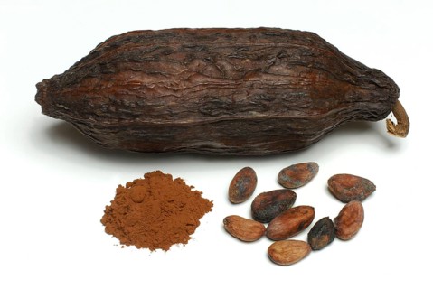 Cocoa fruit with cocoa beans and cocoa powder (Theobroma cacao) , cocoa, cocoa bean