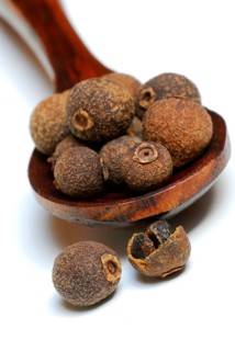 Allspice (Pimenta dioica officinalis) clove pepper, Jamaica pepper, new spice, four spice, koerner