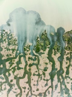 Network of channels and streams at low tide at their confluence with a larger body of water, in the