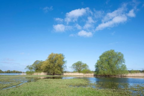 Elbe meadows, floodplain landscape, UNESCO Biosphere Reserve River Landscape ELBE,