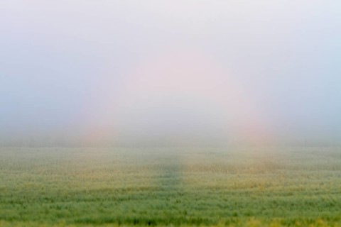 Ringhalo, Brocken ghost, light phenomenon, rainbow, Peene Valley River Landscape nature park Park,