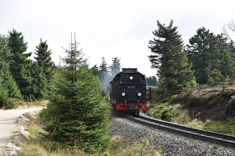Harz narrow-gauge railway on the way to the Brocken, Saxony-Anhalt, Germany, Europe