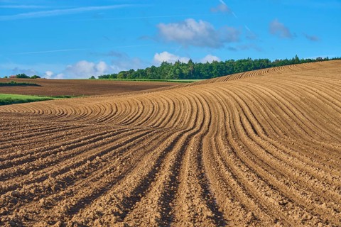 Landscape with potato field in spring, Großheubach, Miltenberg, Spessart, Bavaria, Germany, Europe