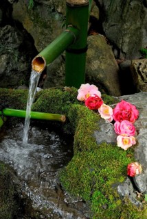 Fountain with mossy stones and camellia flowers, Kyoto, Japan, Asia