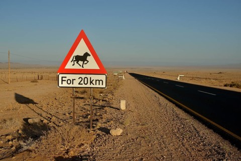Road through the desert with a warning sign Attention horses, near Aus, Karas Region, Namib,