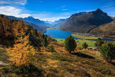 Lake Silvaplana and Silsersee, Upper Engadine, Grisons, Switzerland, Europe