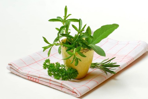 Savory, Savory, Savory (Satureja hortensis) parsley, rosemary, sage