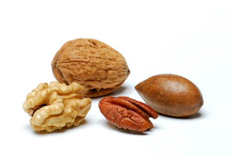 Walnut (Juglans regia) and pecan (Carya illinoiensis) , pecan nut