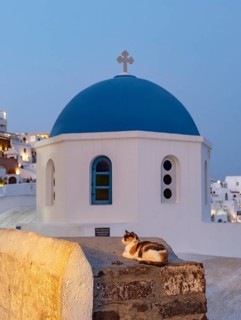 Cat outside blue-domed Church of Agios Nikolaos by night, Ia, Oia, Santorini, Greece, Europe