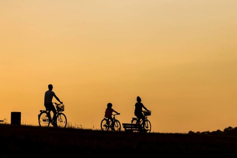 Silhouette of cyclists on the Elbe cycle path in the evening