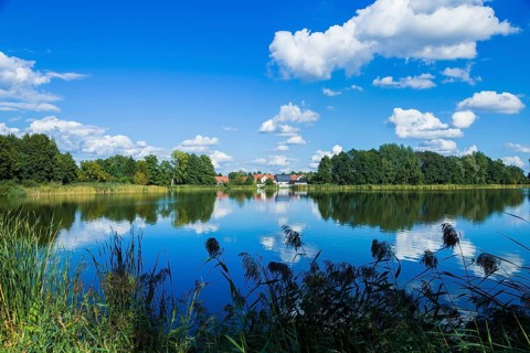 Peitz, Picnjo in Lower Sorbian, is a town in the district of Spree-Neiße in Brandenburg. It is the