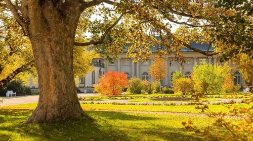 The former summer residence of the Saxon royal family is the largest chinoise palace complex in