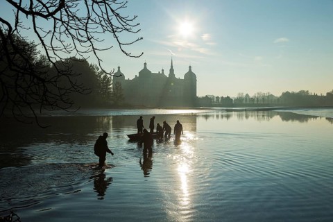 Fishing of the castle pond in Moritzburg