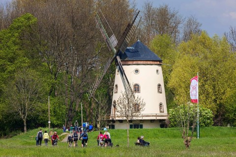 Gohlis windmill