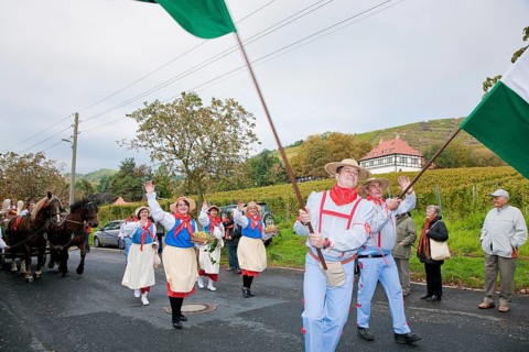 The Saxon Winegrowers' Procession 2011