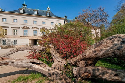 (© Sylvio Dittrich) (01772156417) Pillnitz used to be a suburb (incorporated in 1950) and is now a