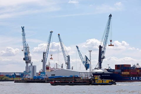 Cranes in Steinwerder Harbour at the South-West Terminal, Norderelbe, Hamburg, Germany, Europe