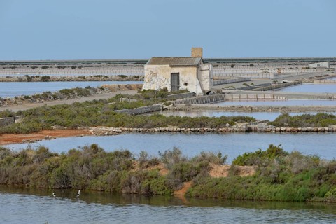 Ses Salines saltworks, near Sant Francesc d'Estany, Ibiza, Balearic Islands, Spain, Europe