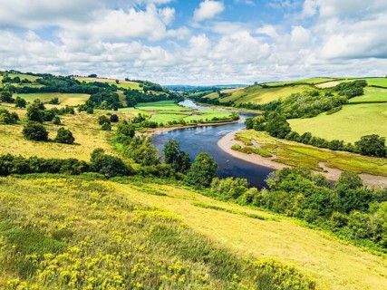 Sharpham Meadows and Marsh over River Dart from a drone, Totnes, Devon, England, United Kingdom,