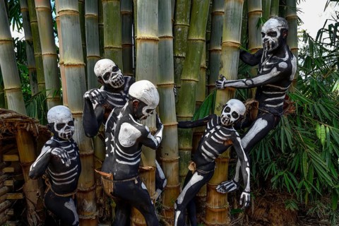 Natives with skeleton painting, Omo Bugamo tribe or skeleton people, Mount Hagen Festival in the