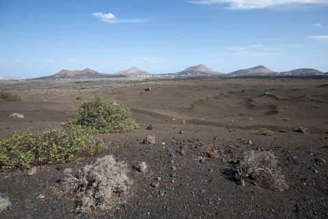 Volcanic landscape near Timanfaya National Park, Lanzarote, Canary Islands, Spain, Europe