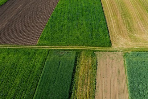 Drone shot, meadow path with grain fields and harvested fields, from above, agriculture,