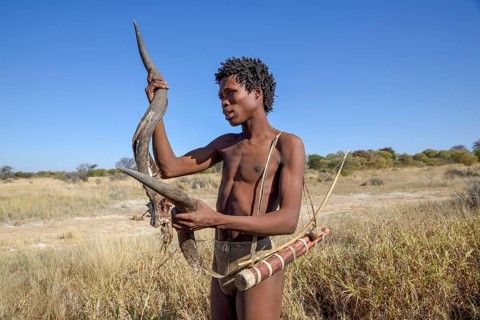 Bushman of the Ju/? Hoansi-San in a traditional hunt with bow and arrow, inspects the horn of a