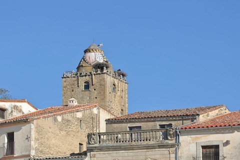 Roofs and tower Torre del Alfiler built 16th century, market square, Trujillo, Extremadura, Spain,