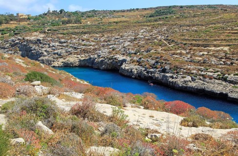 Limestone barrique vegetation Mgarr ix-Xini coastal inlet, island of Gozo, Malta, Europe