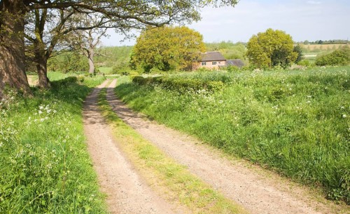 Spring seasonal landscape of quiet country lane trees and country cottage, Rendlesham, Suffolk,
