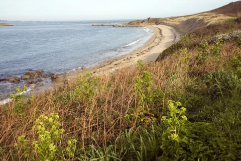 Bears beach, Island of Herm, Channel Islands, Great Britain