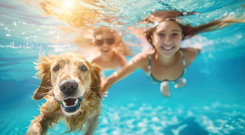 Happy smiling family with children swimming with a golden retriever at home pool, AI generated
