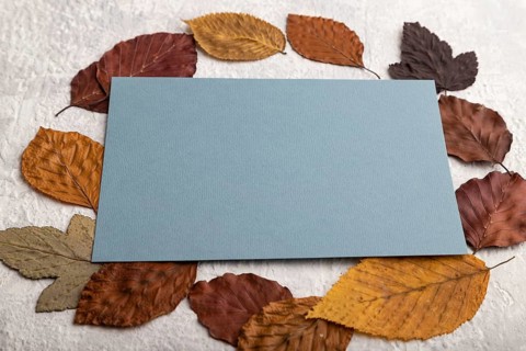 Blue paper business card with yellow and brown autumn leaves, mockup on gray concrete background.