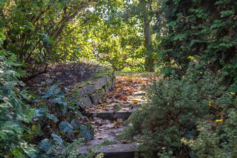 Cottage garden with stone stairs and retaining wall, Modern landscape design