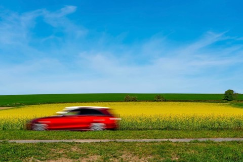 Country road by a flowering rape field, landscape near Mülheim an der Ruhr, Germany, Europe