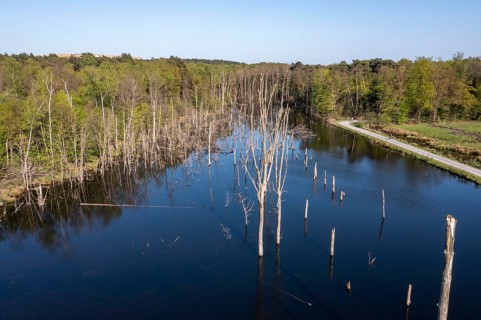 The nature reserve Kirchheller Heide, the Pfingstsee, created by subsidence caused by coal mining,