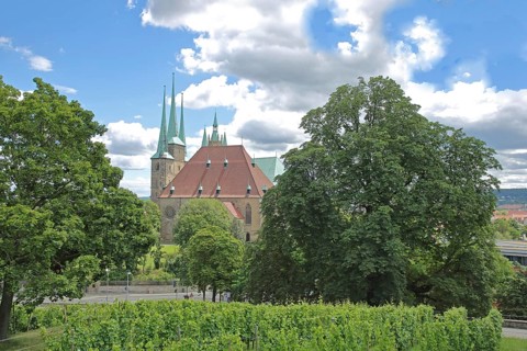 View from Petersberg to gothic UNESCO Severi church with grapevines, St. Severi, landmark, Erfurt,