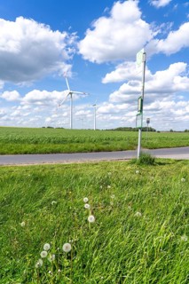 Local transport in the countryside, line 299, 4 stops on weekdays, bus stop Nierleistraße, Dorsten,