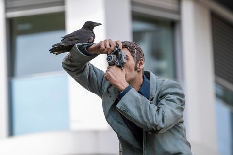 Real crow on a pillar saint, The Photographer, in front of the main railway station in Düsseldorf,