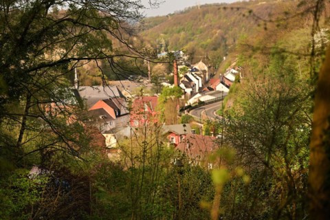 Iserlohn. This year's unusually warm weather in April has already given us a May. Nature exploded