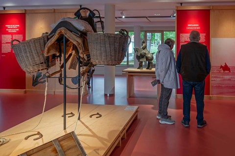 Shrimper's equipment for draught horse with dragnet in the NAVIGO Visserijmuseum, fishery museum at
