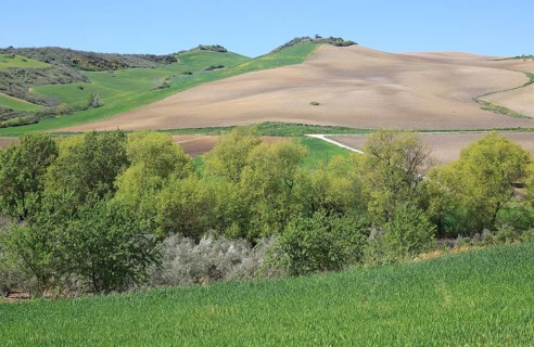 Farming landscape of Rio Setenil valley, Cuevas del Marques, Serrania de Ronda, Spain, Europe