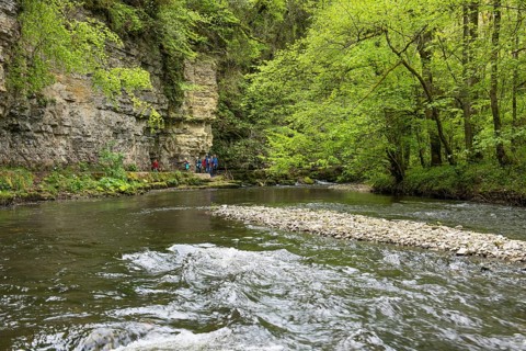 Hiking trail by the river, Wutach Gorge, Bonndorf, Baden-Württemberg, Black Forest, Germany, Europe