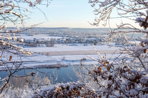 View from the Scharfenberg vantage point over the Elbe to Brockwitz and Coswig on a winter morning,