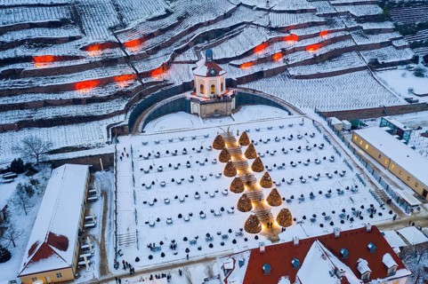 Aerial view of the Belvedere in Wackerbarth Castle Park with vineyards under snow and Christmas